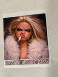 SASSY HEAT TRANSFER
