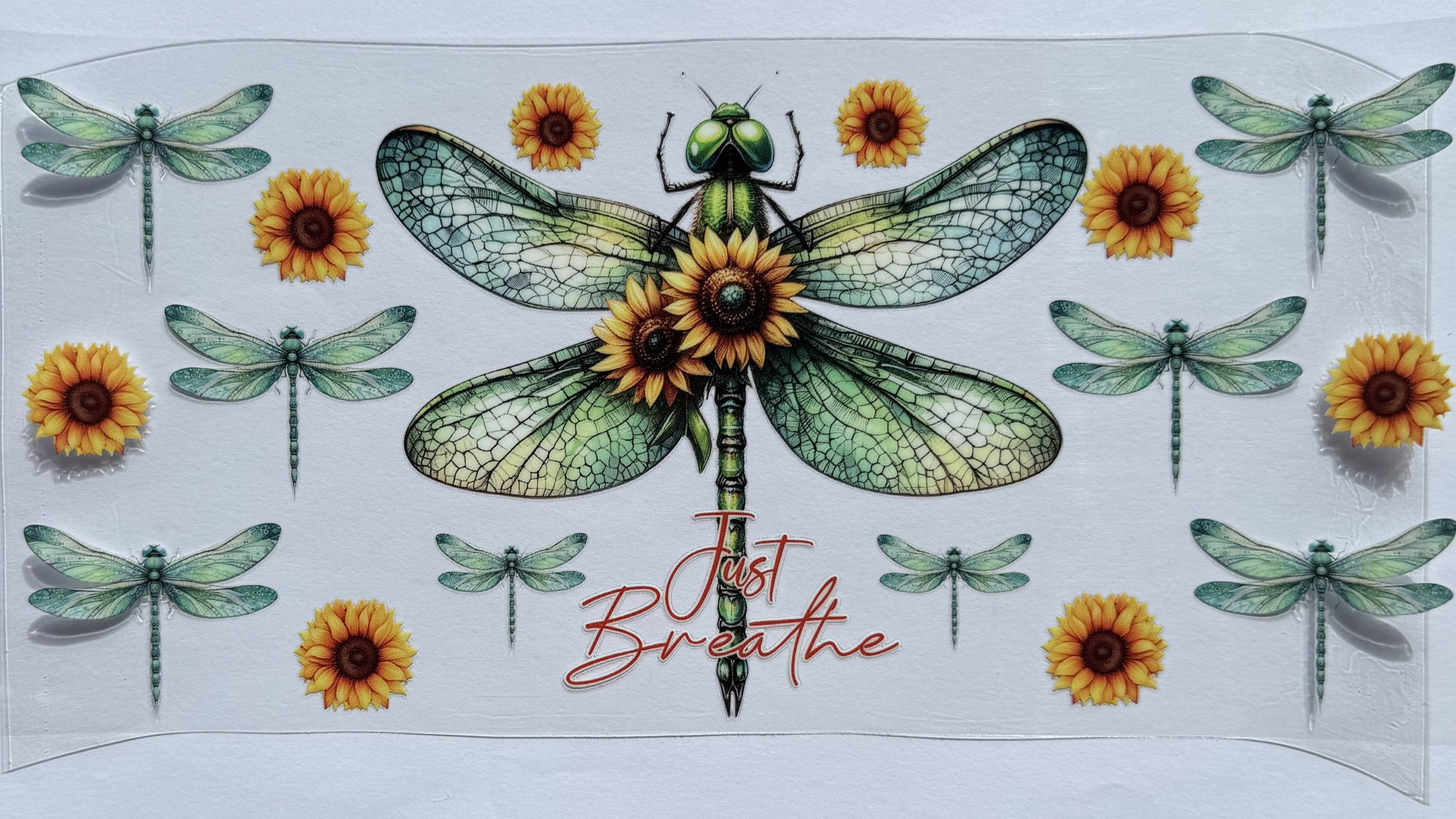 Dragonflies - just breathe