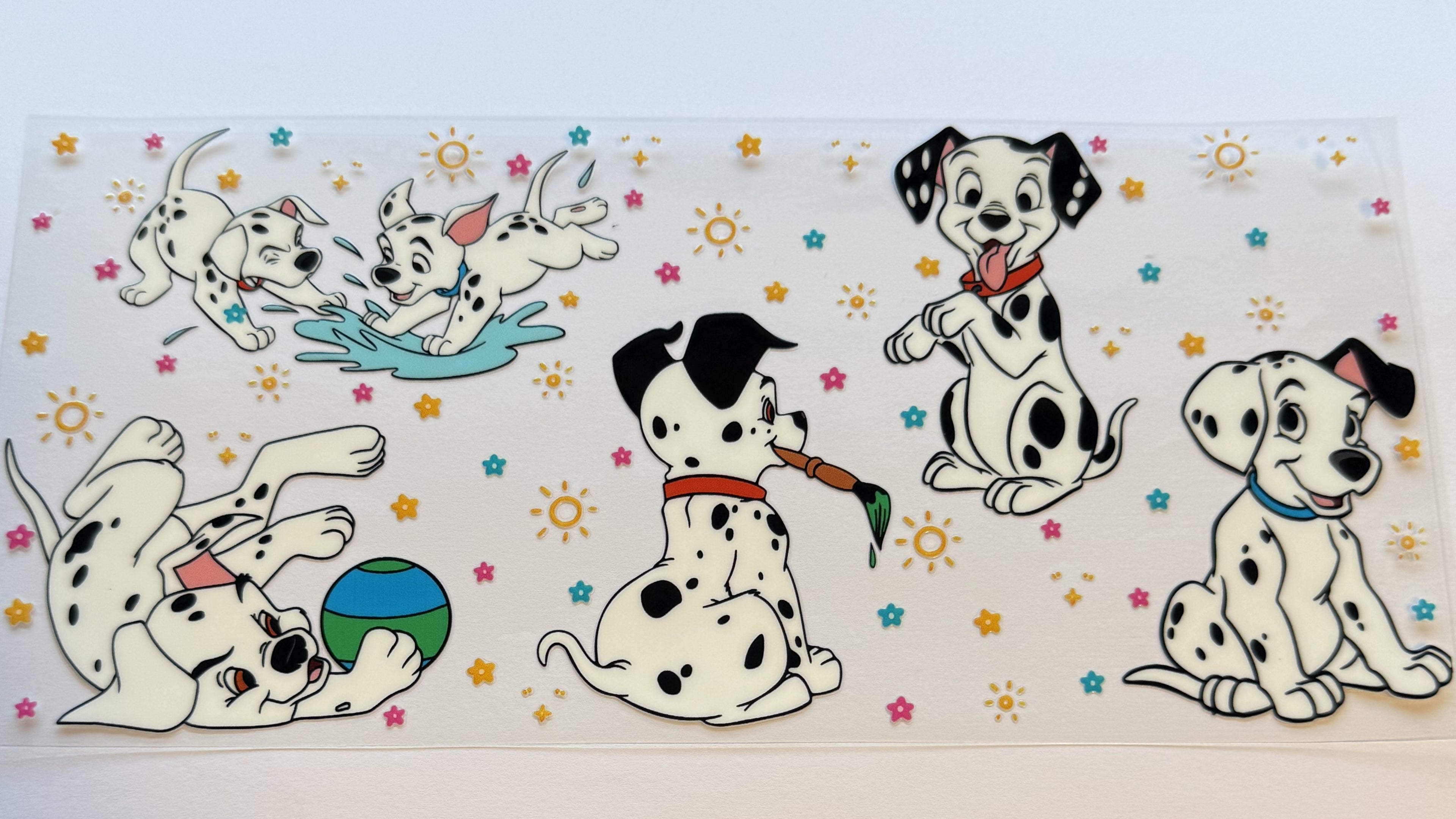 Dalmation puppies