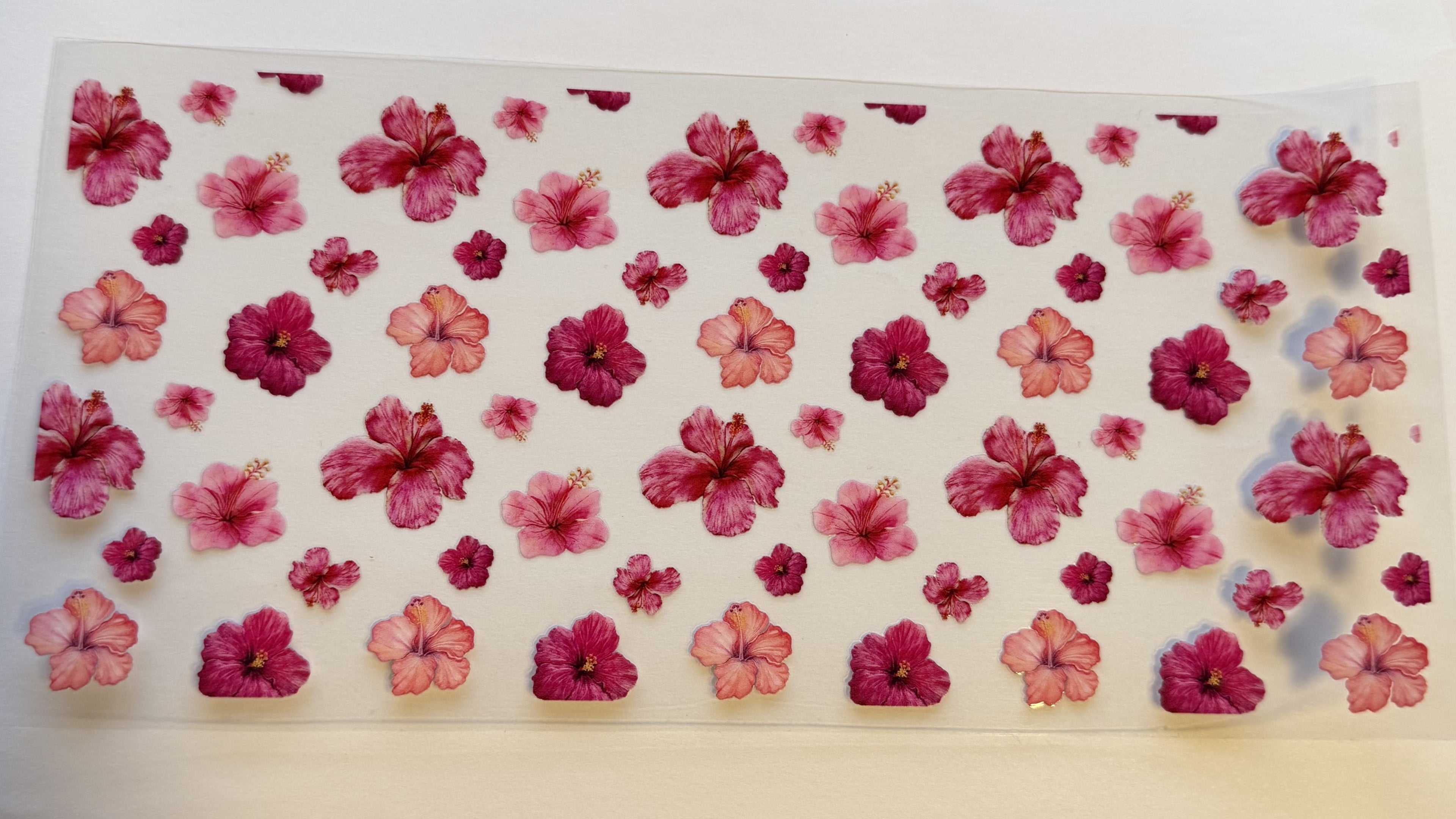 Pink Flowers