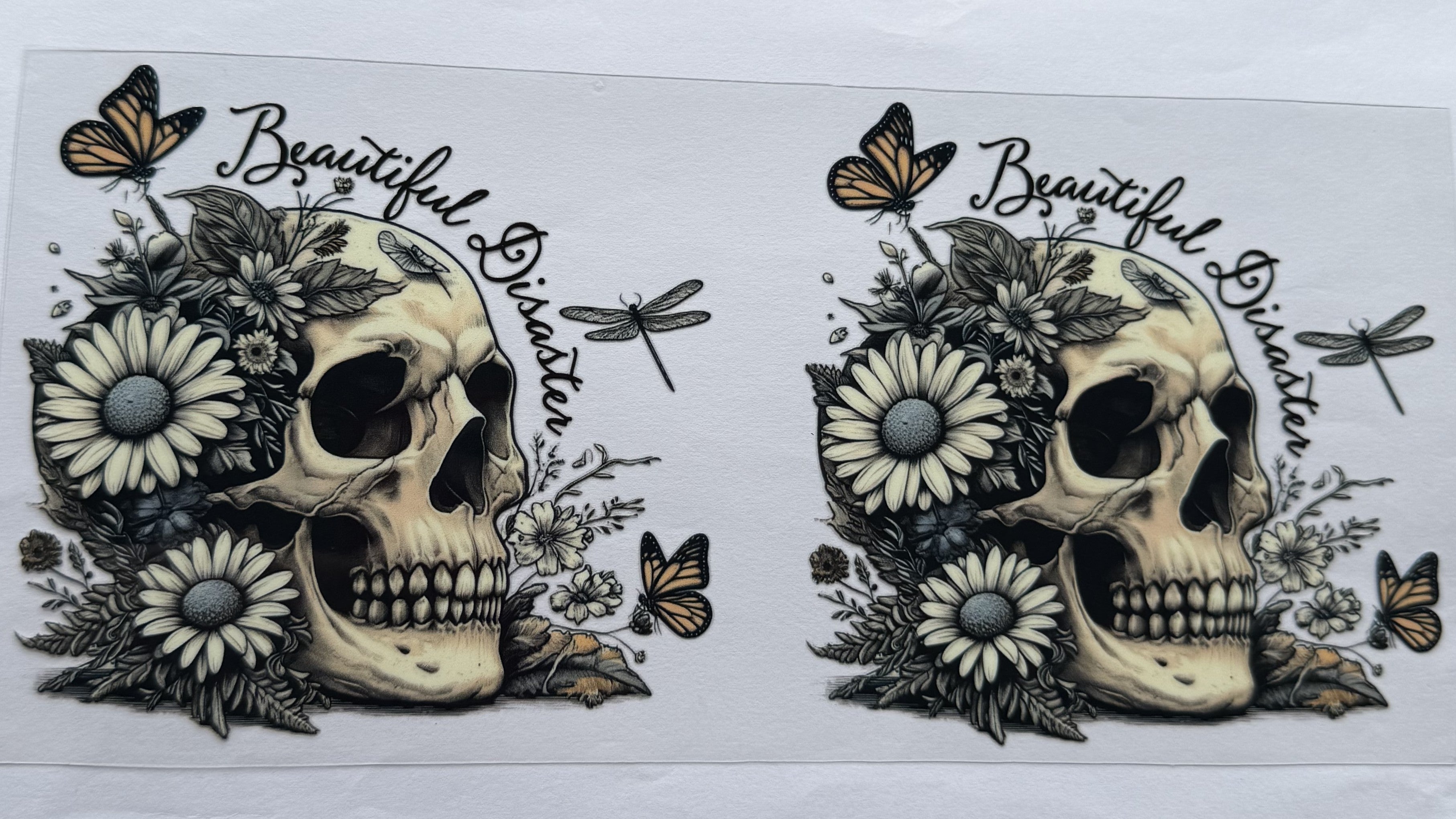 Beautiful Disaster