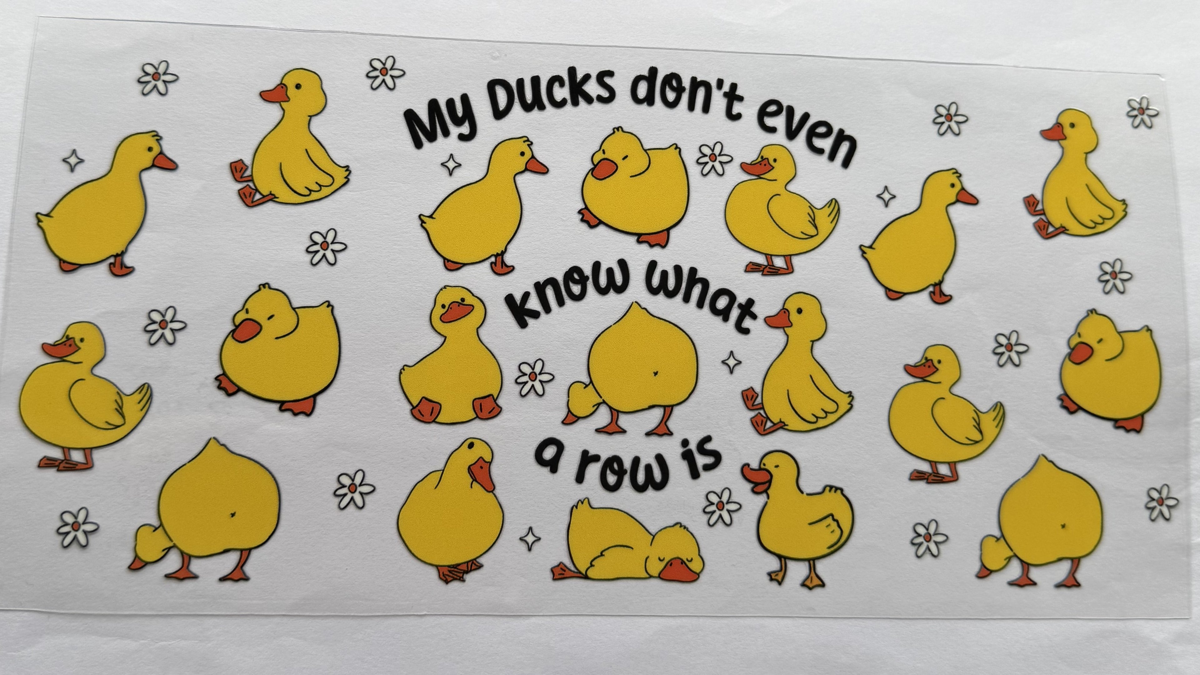 Lost ducks